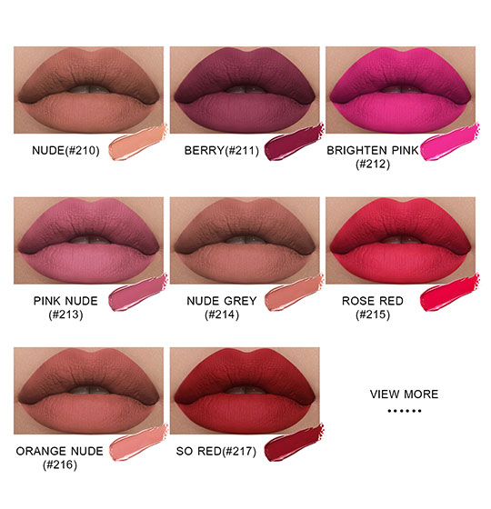 High Pigment Waterproof Multi-Colors Matte Lip Gloss